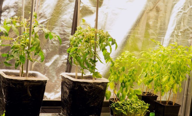 Светодиодный светильник ФитоСпектр ОЖЗ для подсветки растений и выращивания рассады